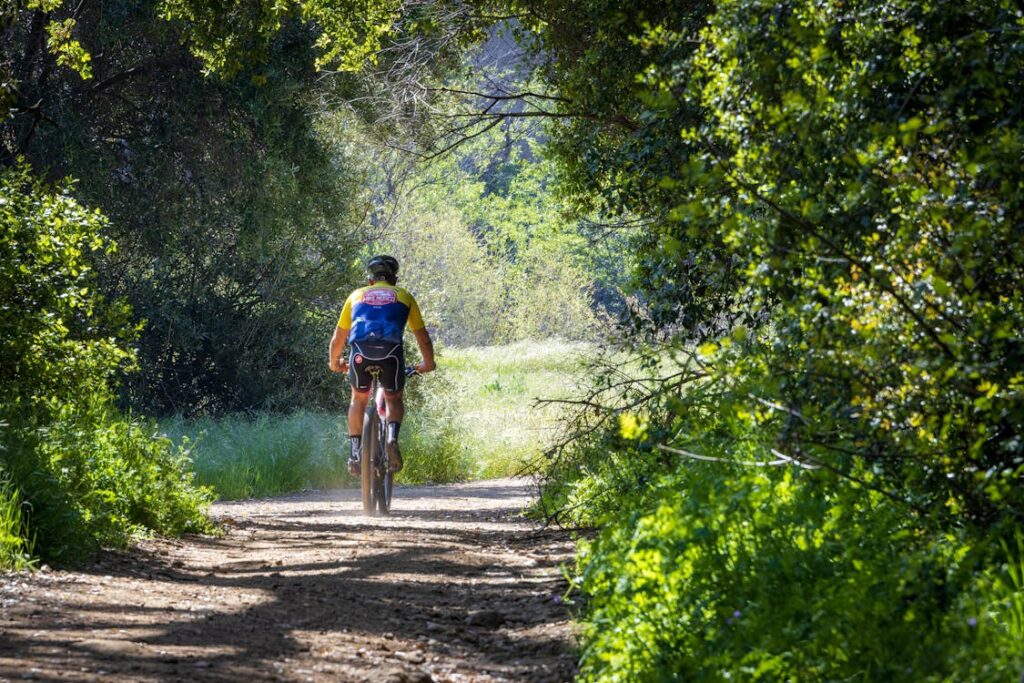 balade en forêt à vélo